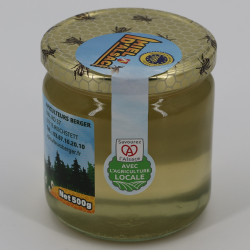 Miel d’Acacia d’Alsace IGP – Pureté et saveur unique  | Apiculteurs Berger
